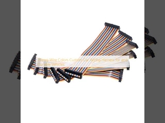 20awg Draad Kleuren Custom Car Wiring Harness voor en Duurzame Voertuigen