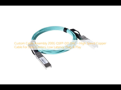 Custom Cable Assembly 200G QSFP-DD DAC   High Speed Copper Cable voor datacenters, lage latentie, Plug & Play